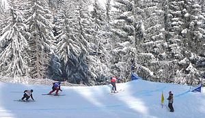Ski Cross